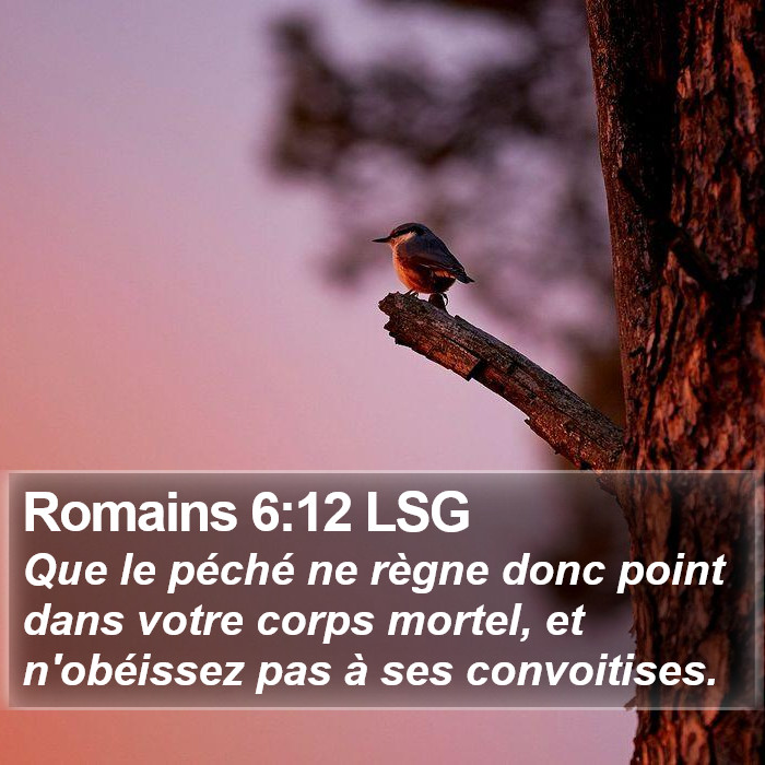 Romains 6:12 LSG Bible Study
