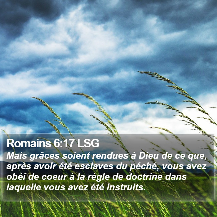 Romains 6:17 LSG Bible Study