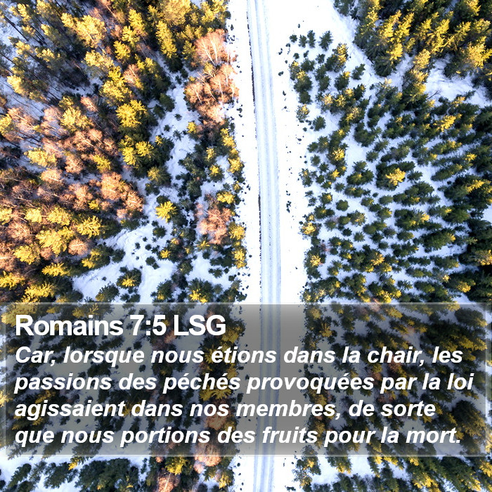 Romains 7:5 LSG Bible Study
