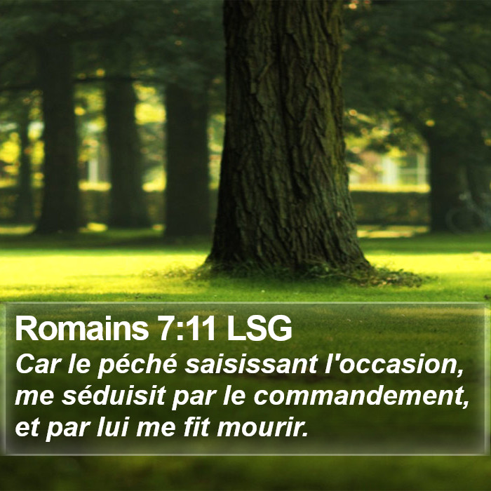 Romains 7:11 LSG Bible Study