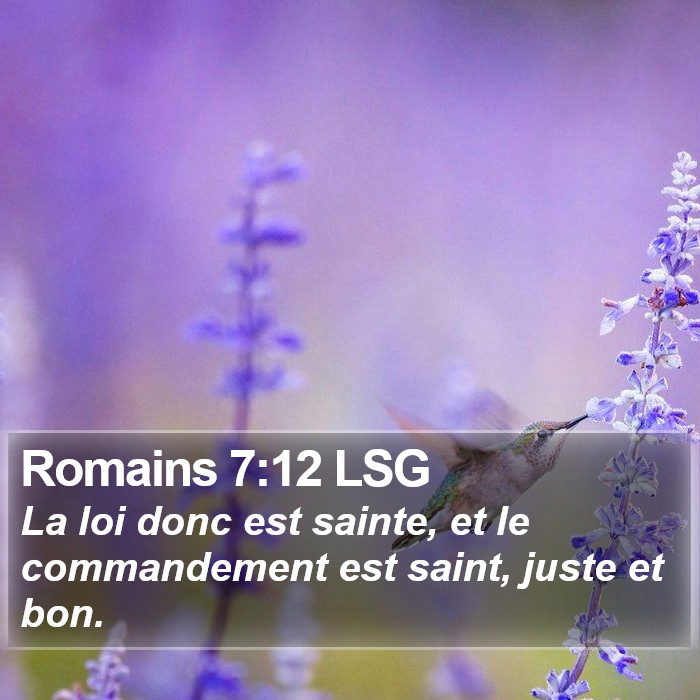 Romains 7:12 LSG Bible Study