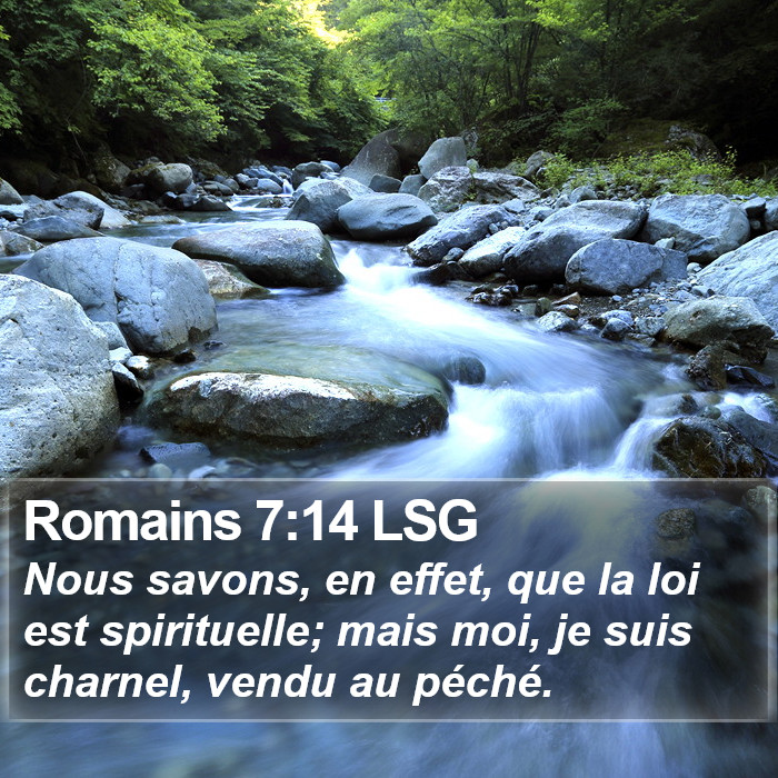 Romains 7:14 LSG Bible Study