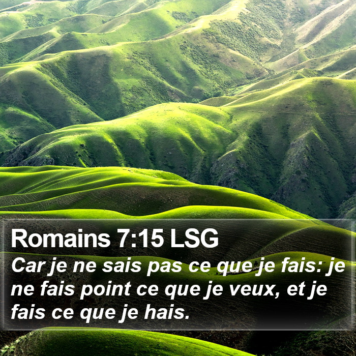 Romains 7:15 LSG Bible Study