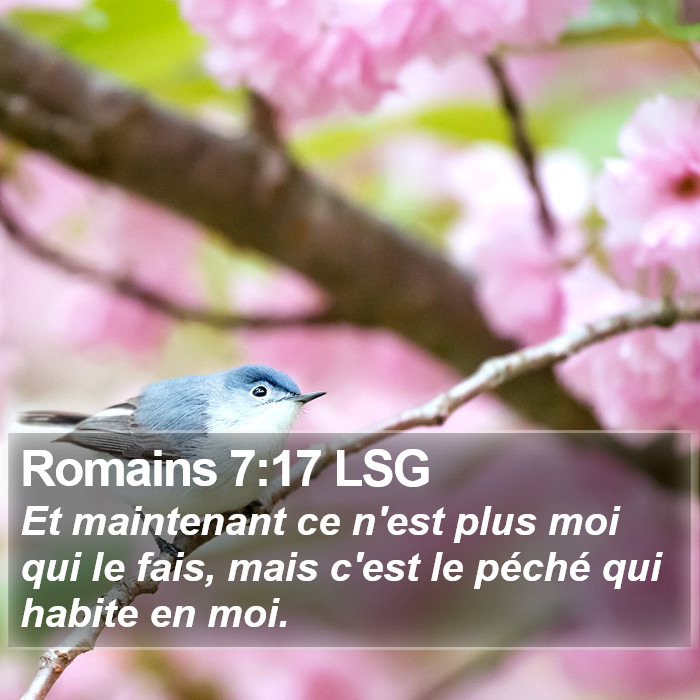 Romains 7:17 LSG Bible Study