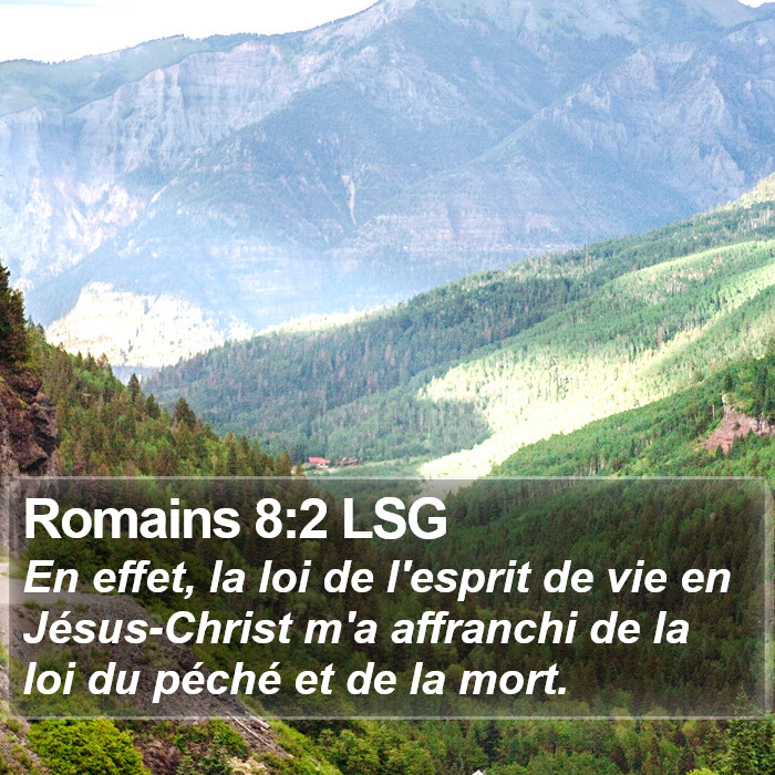 Romains 8:2 LSG Bible Study