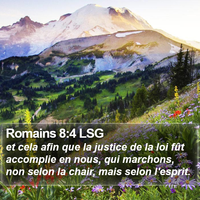 Romains 8:4 LSG Bible Study