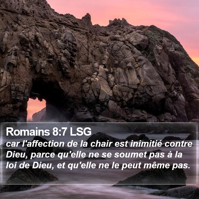 Romains 8:7 LSG Bible Study
