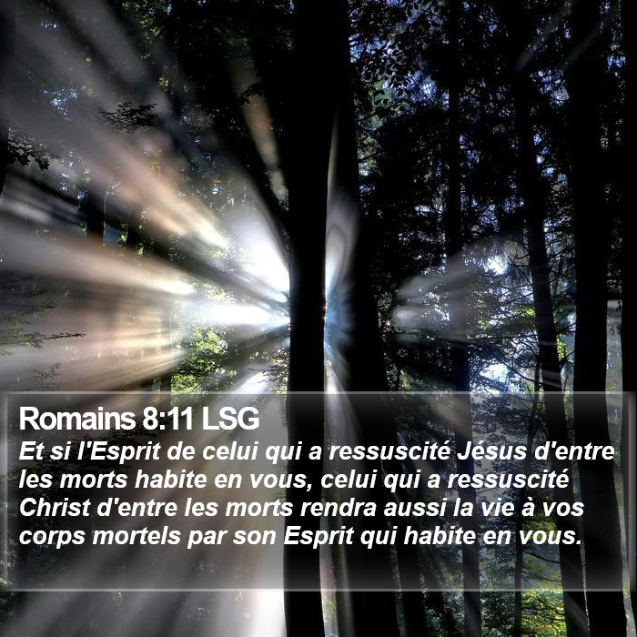 Romains 8:11 LSG Bible Study