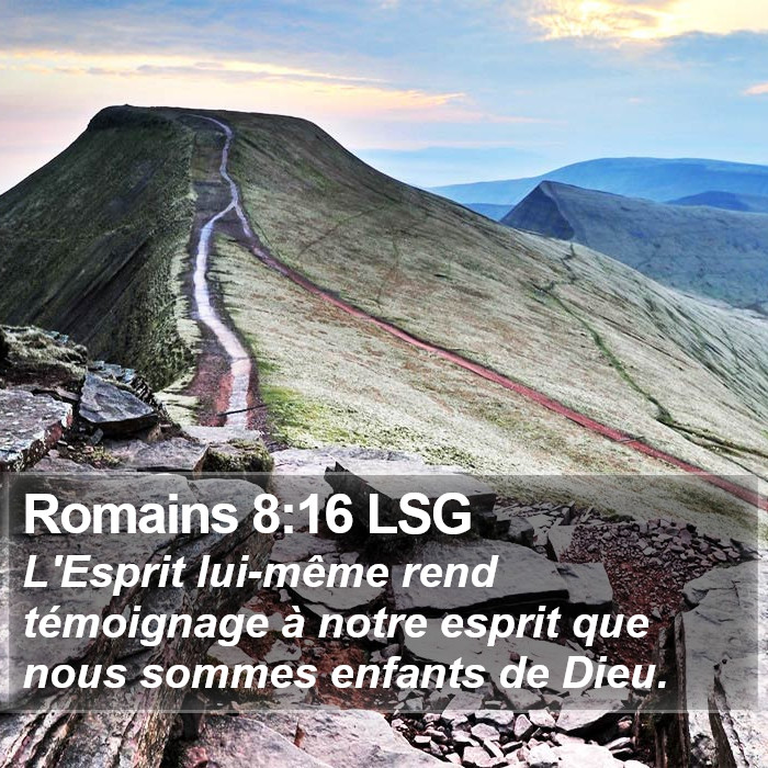 Romains 8:16 LSG Bible Study
