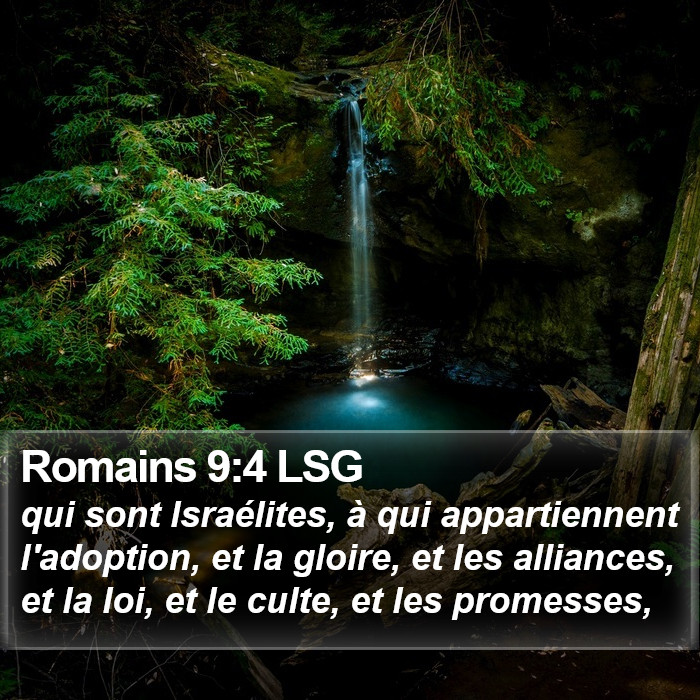 Romains 9:4 LSG Bible Study