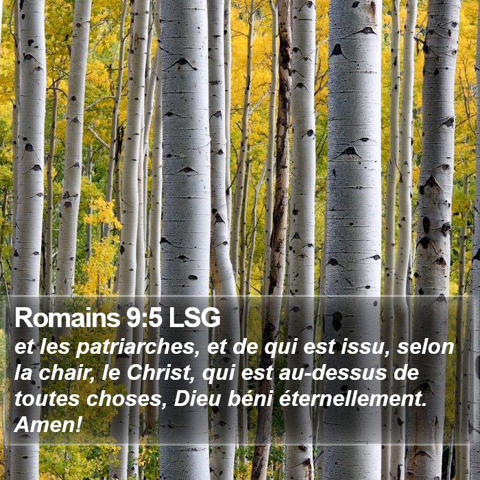 Romains 9:5 LSG Bible Study