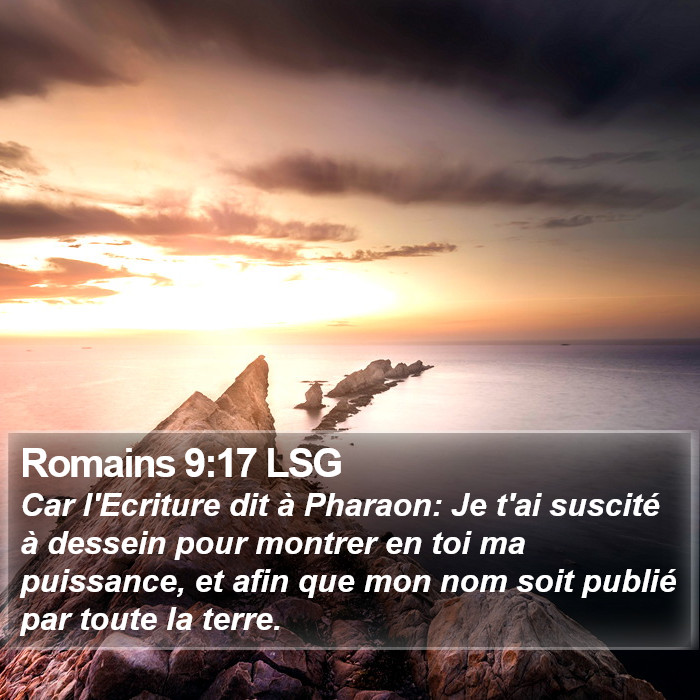 Romains 9:17 LSG Bible Study