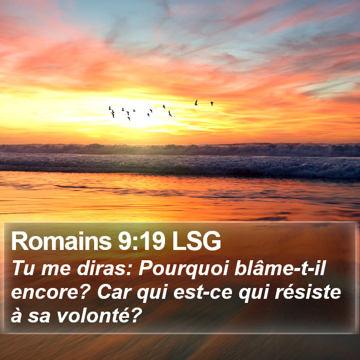 Romains 9:19 LSG Bible Study