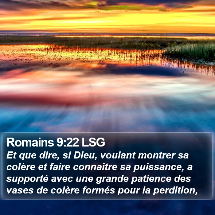 Romains 9:22 LSG Bible Study