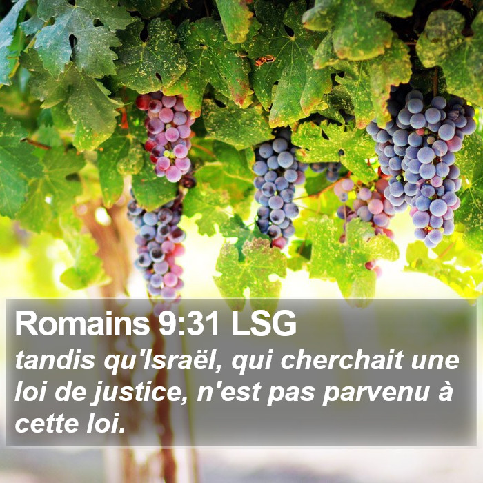Romains 9:31 LSG Bible Study