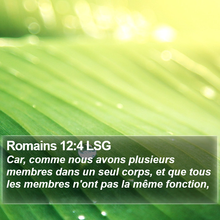 Romains 12:4 LSG Bible Study