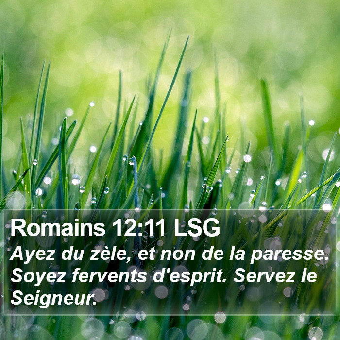 Romains 12:11 LSG Bible Study