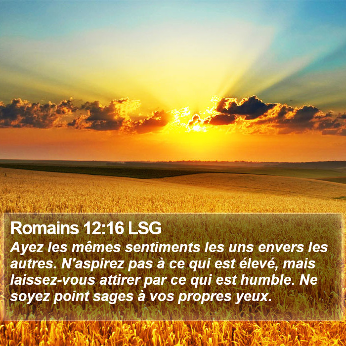Romains 12:16 LSG Bible Study