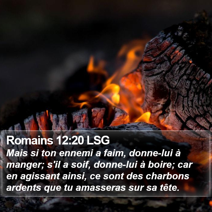 Romains 12:20 LSG Bible Study