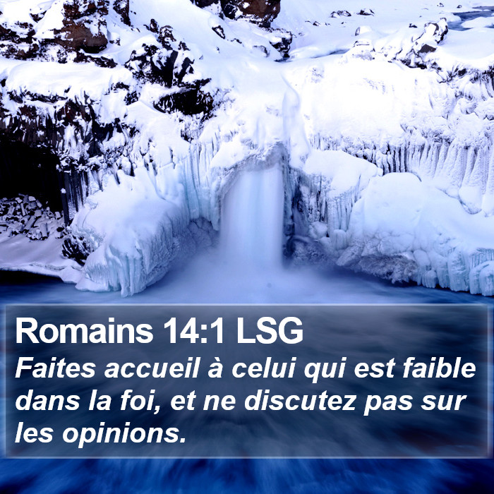 Romains 14:1 LSG Bible Study