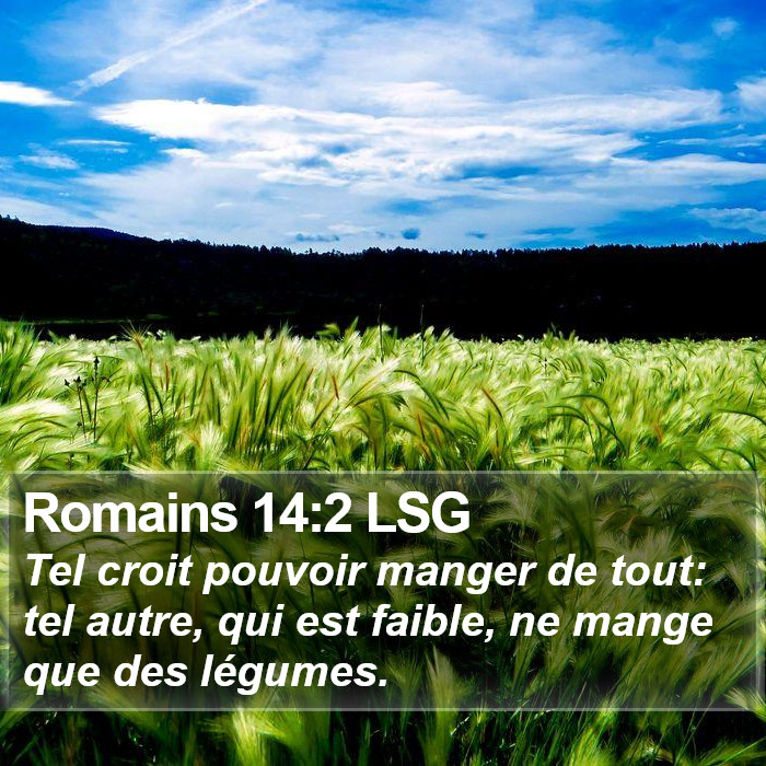 Romains 14:2 LSG Bible Study