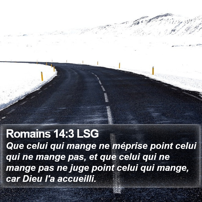 Romains 14:3 LSG Bible Study