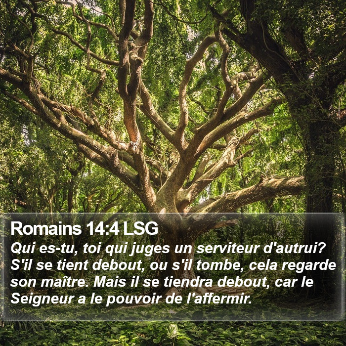 Romains 14:4 LSG Bible Study