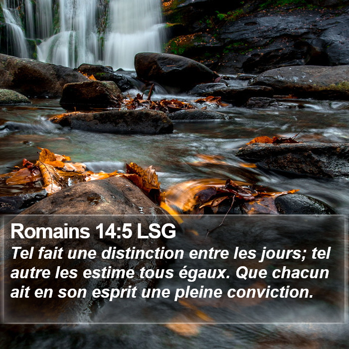 Romains 14:5 LSG Bible Study