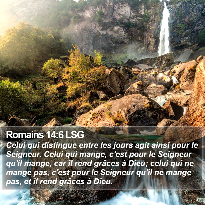 Romains 14:6 LSG Bible Study