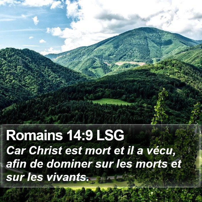 Romains 14:9 LSG Bible Study