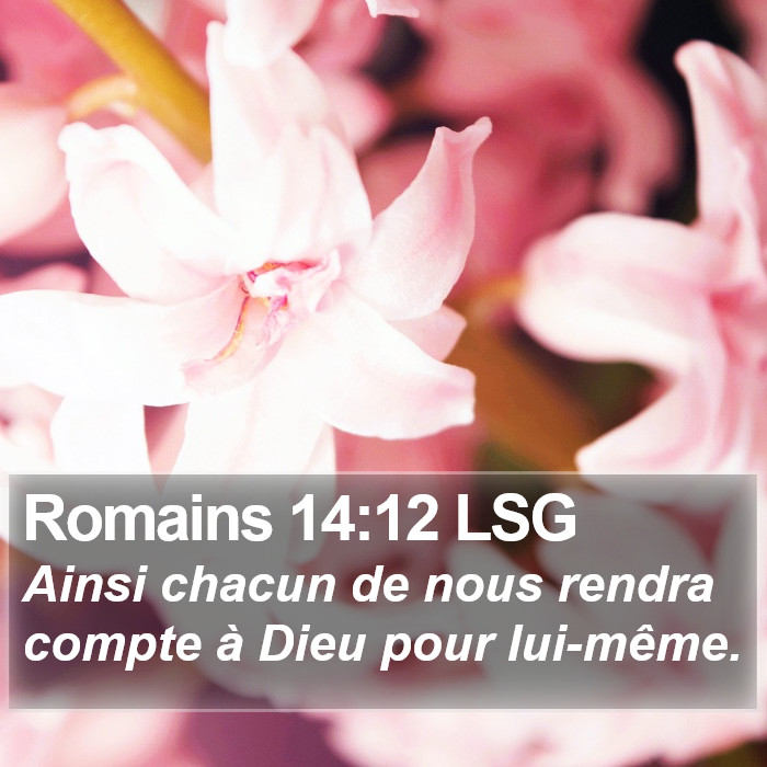 Romains 14:12 LSG Bible Study