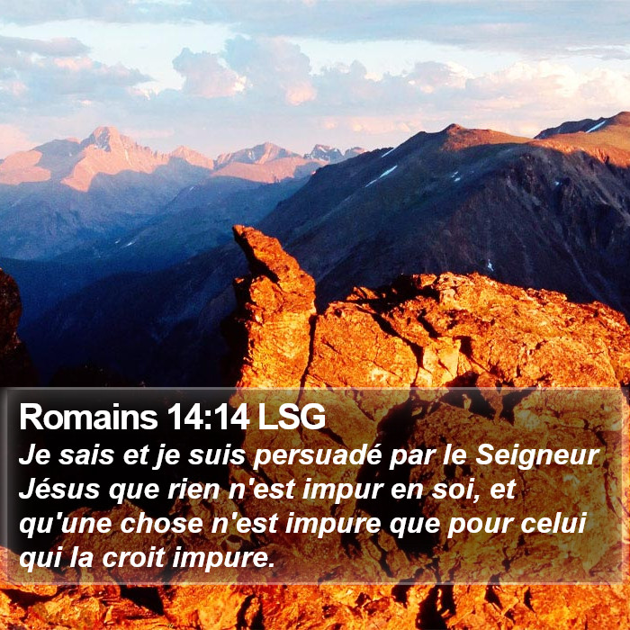 Romains 14:14 LSG Bible Study