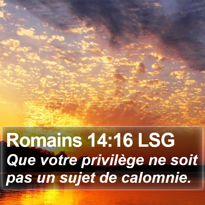 Romains 14:16 LSG Bible Study