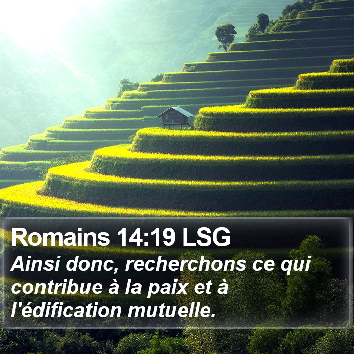 Romains 14:19 LSG Bible Study