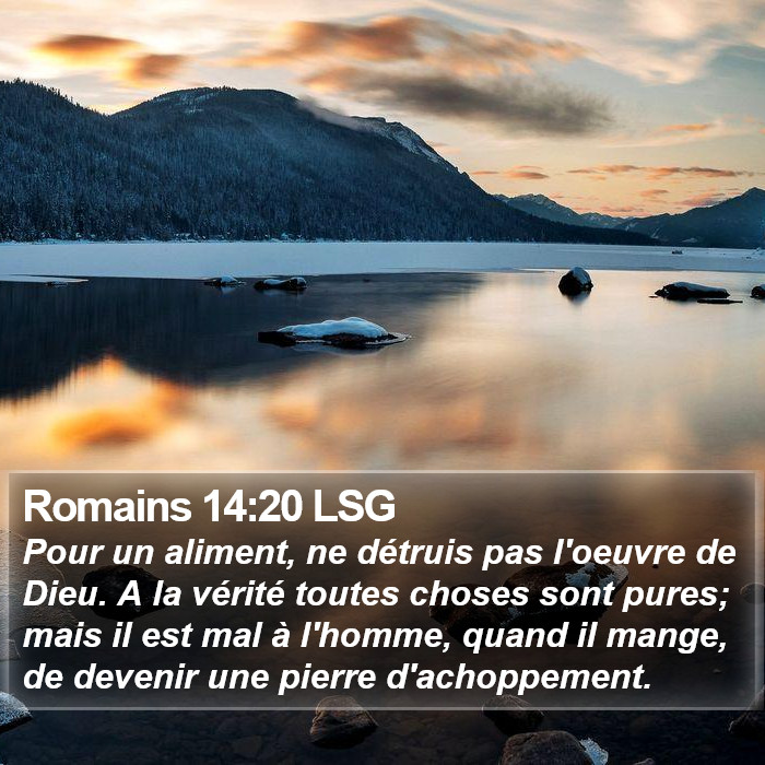 Romains 14:20 LSG Bible Study