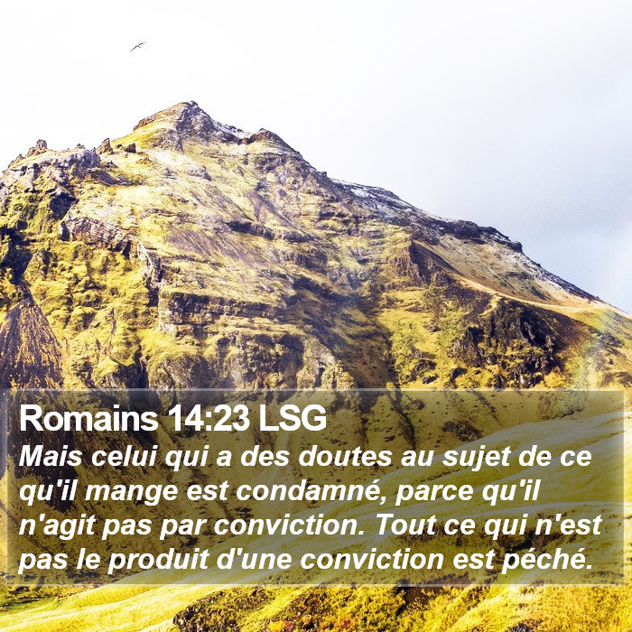 Romains 14:23 LSG Bible Study