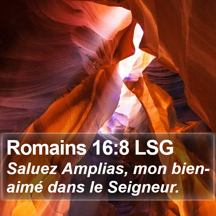 Romains 16:8 LSG Bible Study