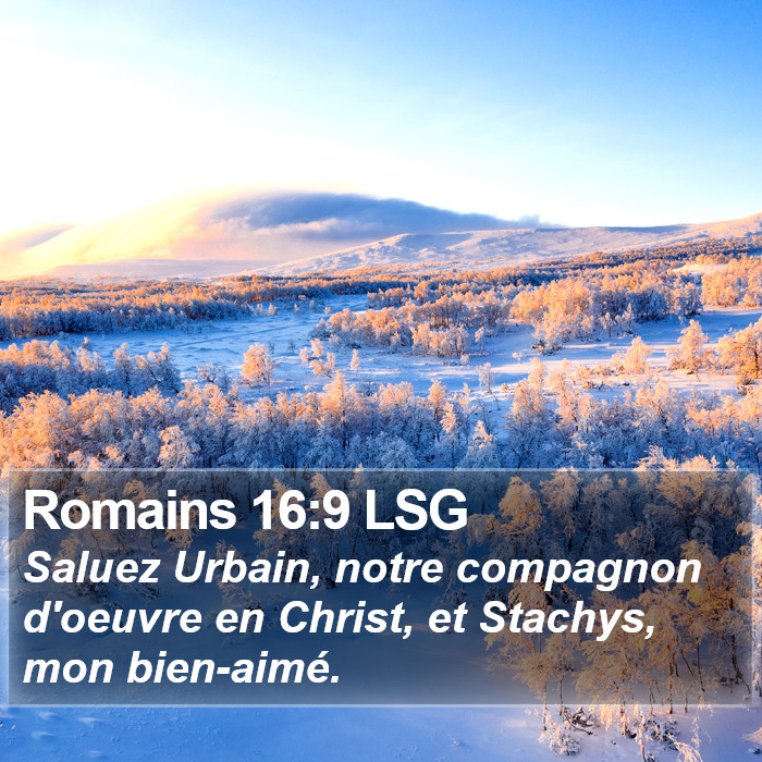 Romains 16:9 LSG Bible Study