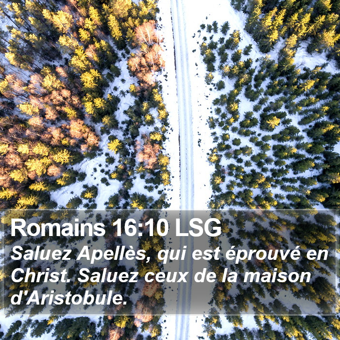 Romains 16:10 LSG Bible Study
