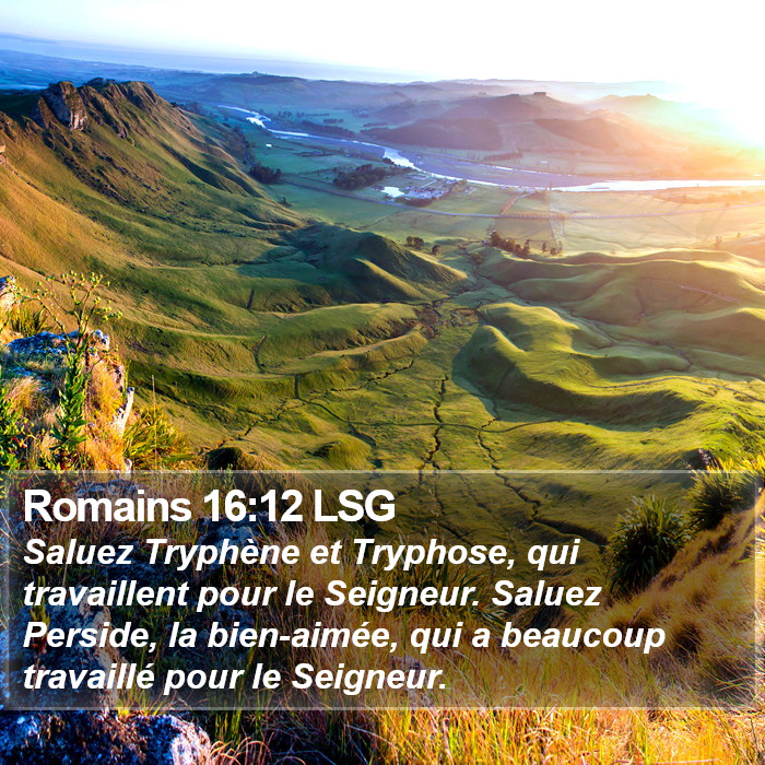 Romains 16:12 LSG Bible Study