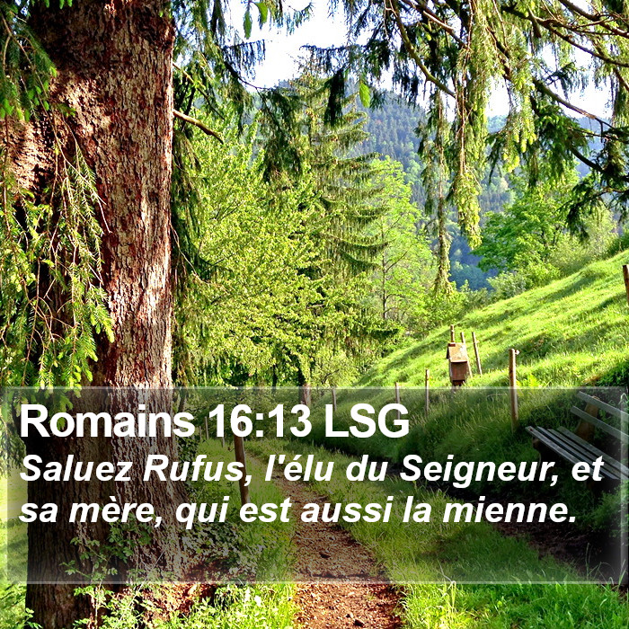 Romains 16:13 LSG Bible Study