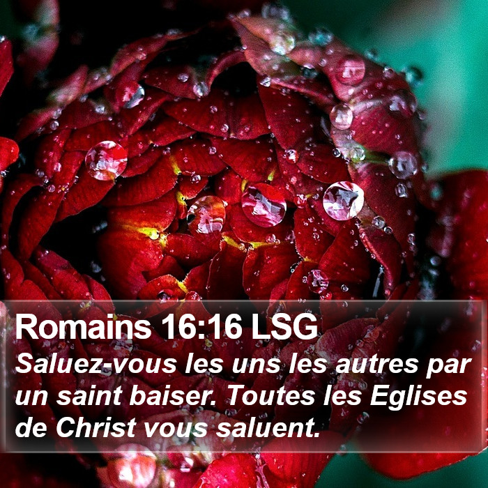 Romains 16:16 LSG Bible Study