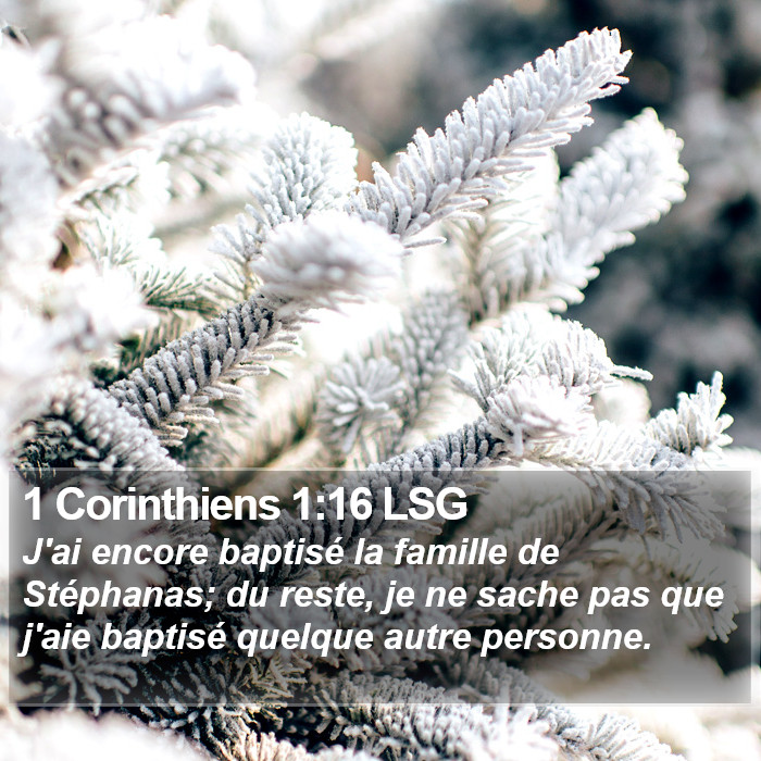 1 Corinthiens 1:16 LSG Bible Study