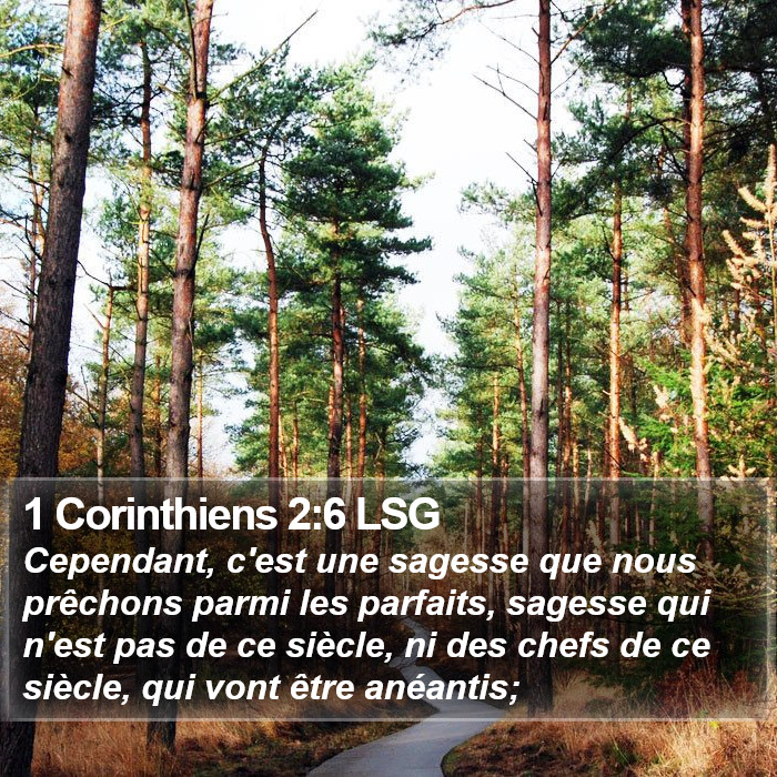 1 Corinthiens 2:6 LSG Bible Study