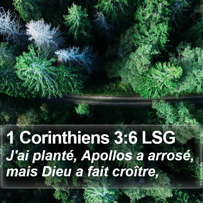 1 Corinthiens 3:6 LSG Bible Study