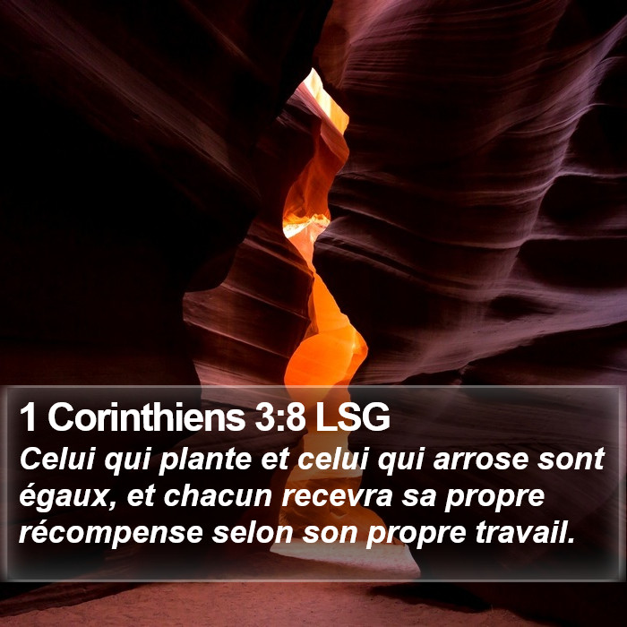 1 Corinthiens 3:8 LSG Bible Study