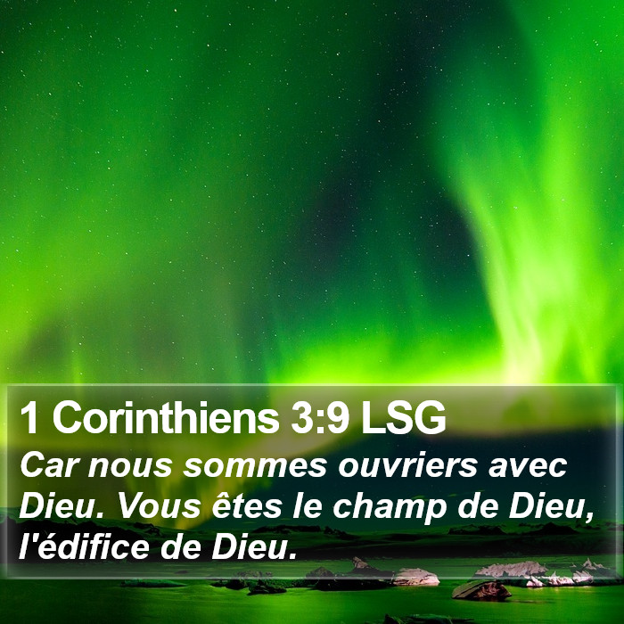 1 Corinthiens 3:9 LSG Bible Study