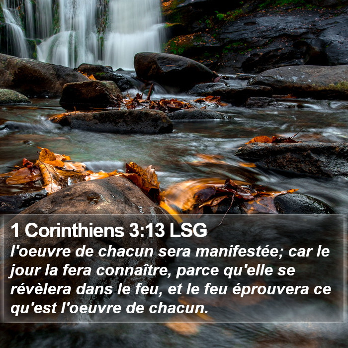 1 Corinthiens 3:13 LSG Bible Study