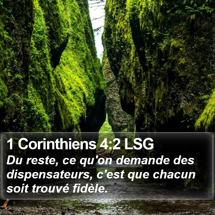 1 Corinthiens 4:2 LSG Bible Study