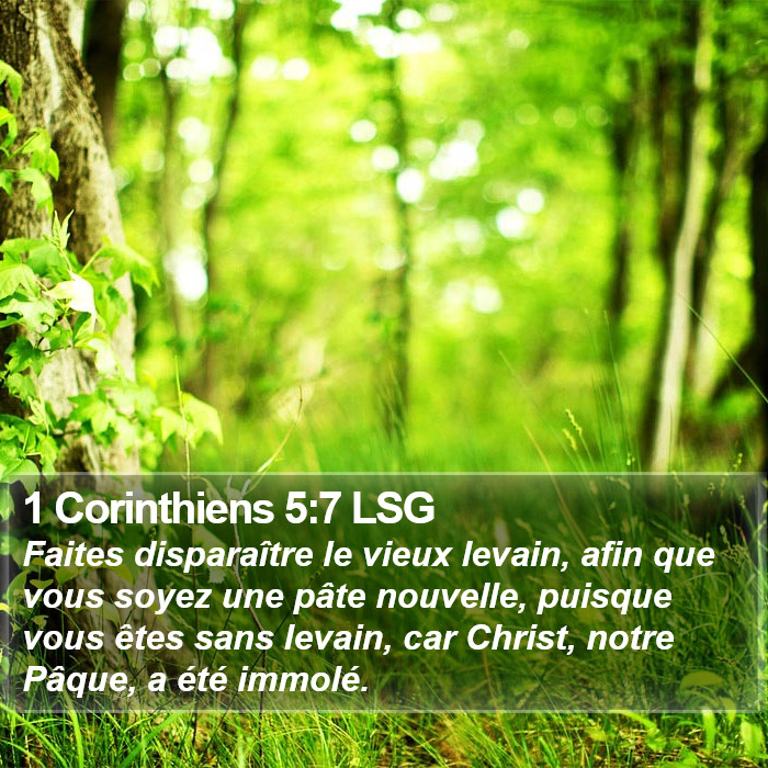 1 Corinthiens 5:7 LSG Bible Study